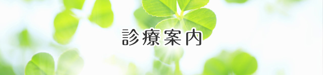 診療案内